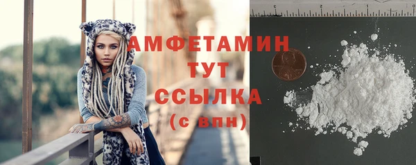 прущий лед Алзамай