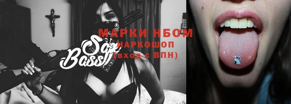 прущий лед Алзамай