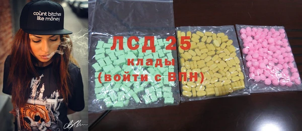 прущий лед Алзамай