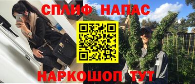 МДПВ Краснознаменск
