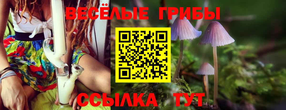 Галлюциногенные грибы GOLDEN TEACHER Лобня
