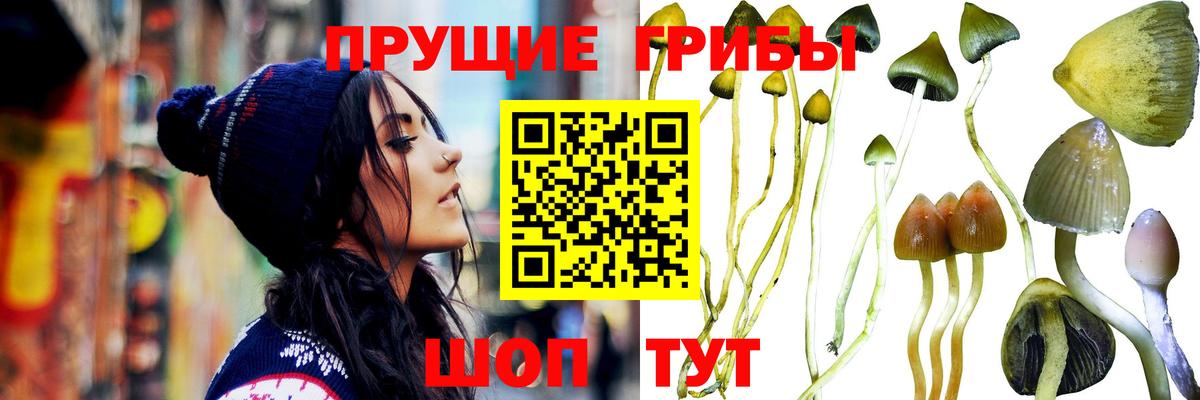 Лобня  Псилоцибиновые грибы мицелий  Вход с VPN 